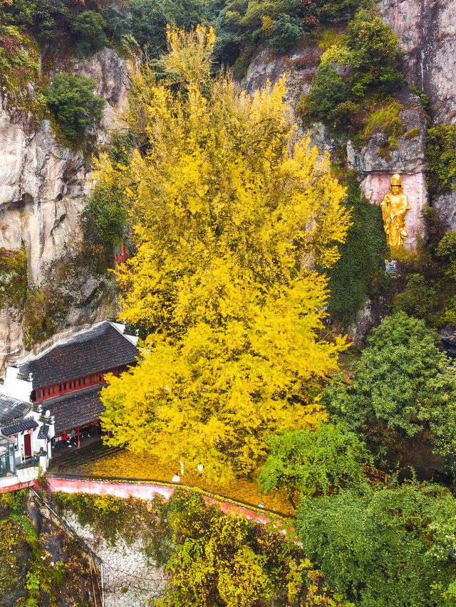 杭州建德，一個被嚴重低估的寶藏小城！