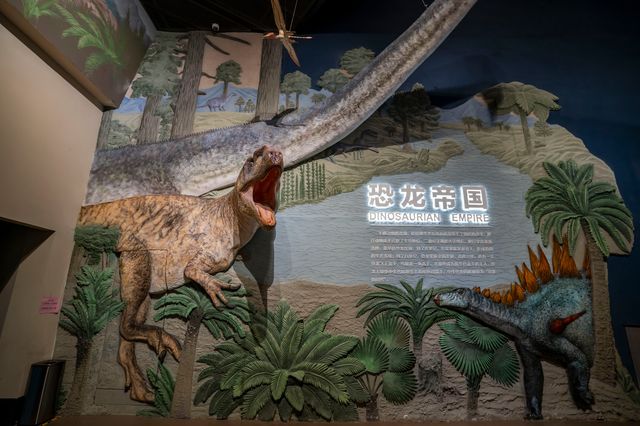 【走進保定中國古動物博物館，探尋家鄉的自然奧秘】。