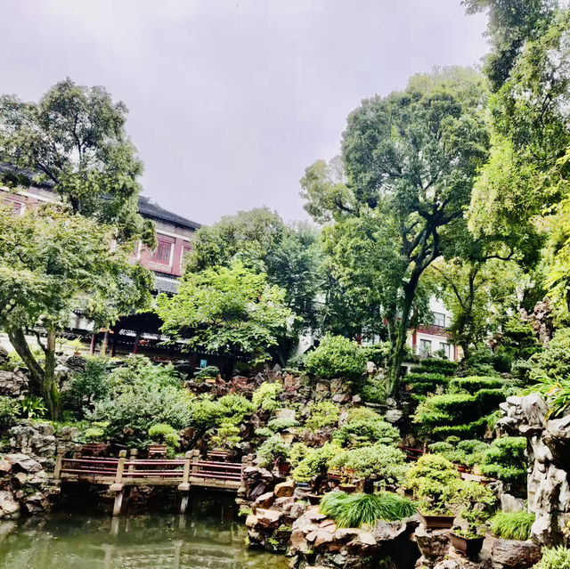打卡上海海上名園@豫園