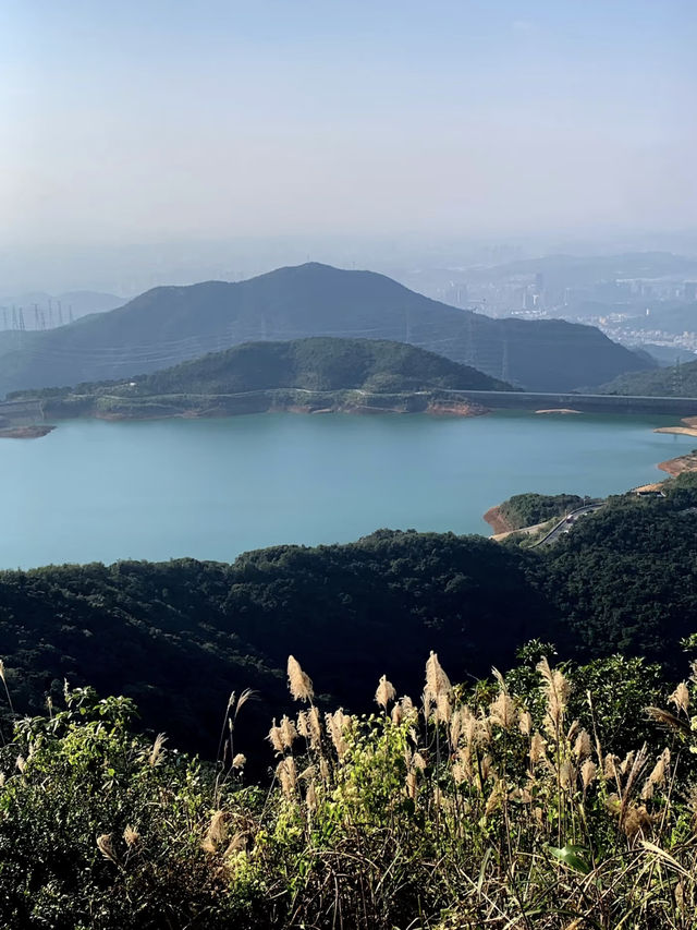 深圳爬山去哪裡當然是梅沙尖。