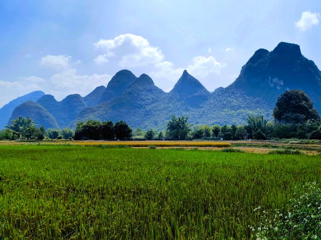 雙流義渡亭，遇龍河畔稻花香。。