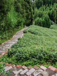瓦屋山下被「國家地理」評為中國最美村落。