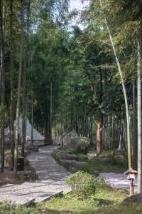 我在武功山下發現了一座百年古樹村。