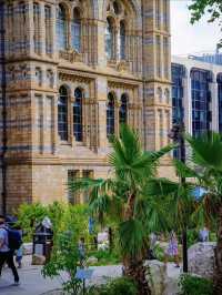 London Natural History Museum full of history 🇬🇧 