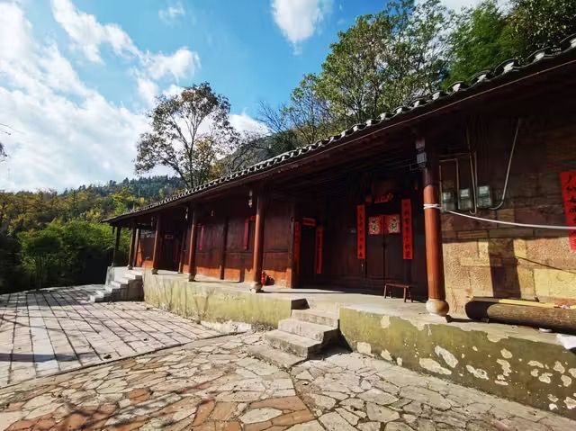 第一次來盤州旅遊不要慌！！！來看妥樂銀杏。