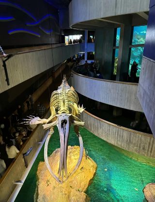 New England Aquarium: A Journey to the Ocean. 
