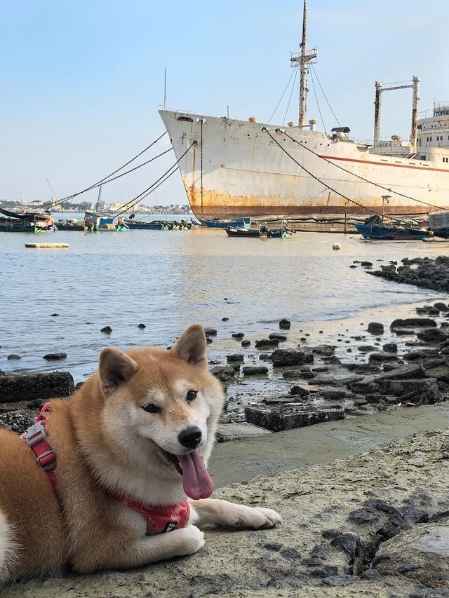 漁港公園碼頭。