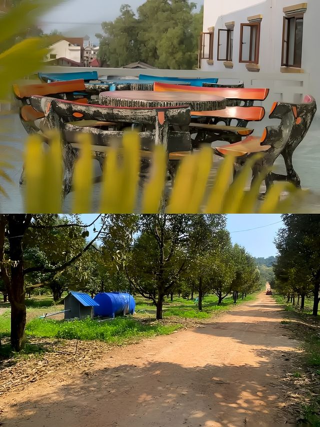 柬埔寨戈公：一場說走就走的歷史與自然奇遇之旅。
