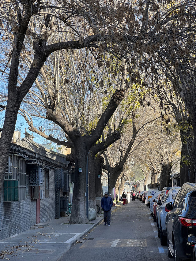 史家胡同，大氣端莊。