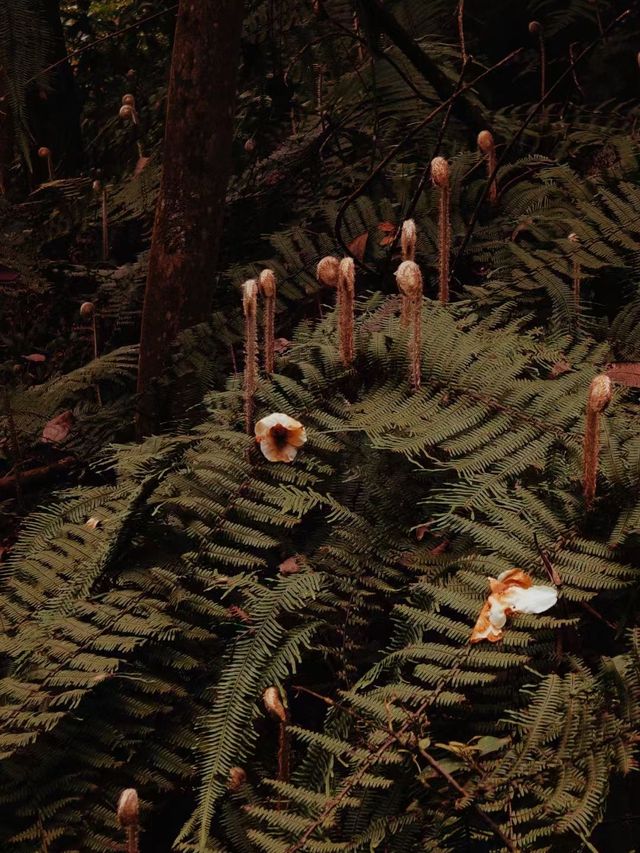 內江市石板河景區 | 避暑遊玩好去處。