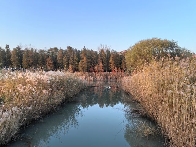 蘇州太湖湖濱濕地公園 | 絕美落日寶藏地。