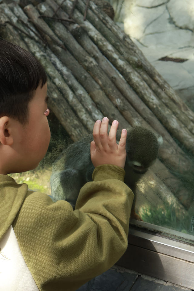 溫州動物園像坐上了去往90年代的穿梭機。