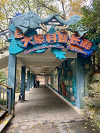 🐘🦒杭州動物園|又去看動物了🥳