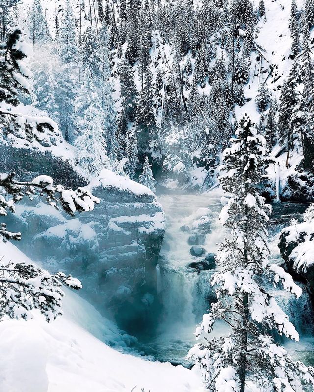 Winter Wonderland: 5-Day Yellowstone National Park Tour