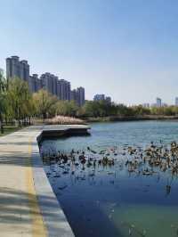 【山東省德州市】長河公園。