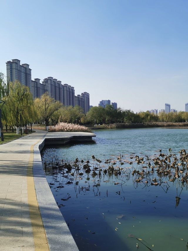 【山東省德州市】長河公園。
