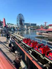 A Day at California Disneyland: 16 Rides and More!