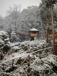 碧峰峽野奢之旅 | 暮雲春樹民宿遇見雪中的冬日戀歌