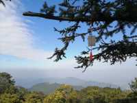有點意外的象窩山生態園