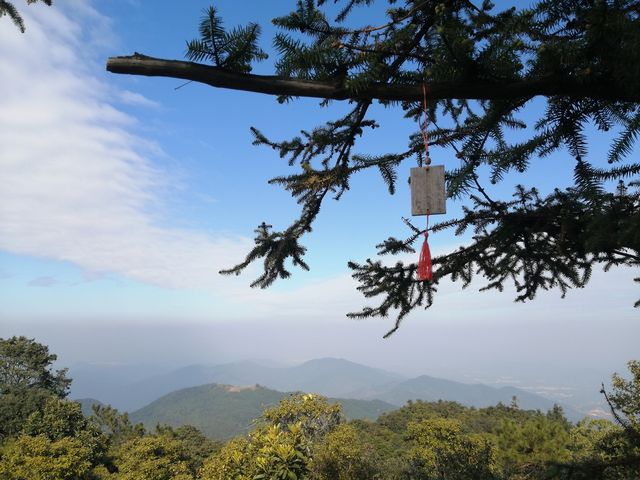 有點意外的象窩山生態園