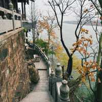 ✨石鼓書院探秘：穿越千年的文化之旅📚🌳