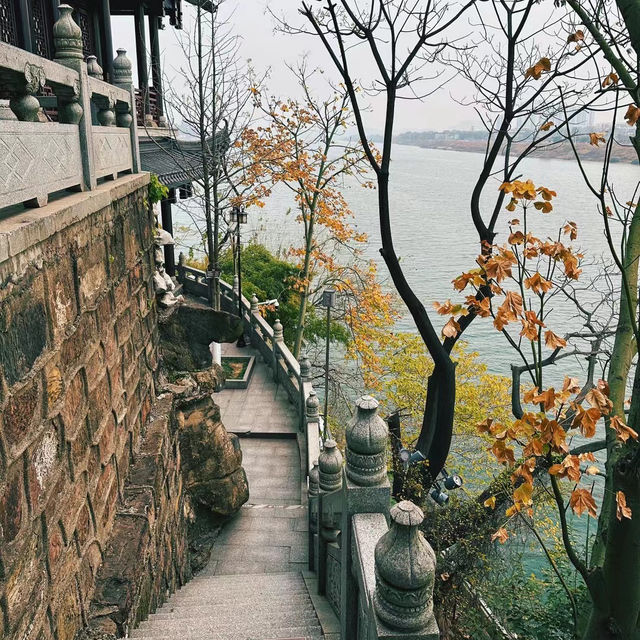 ✨石鼓書院探秘：穿越千年的文化之旅📚🌳