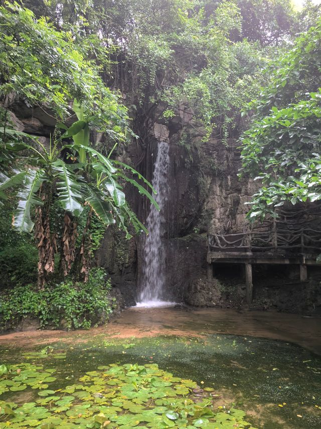 天星橋景區
