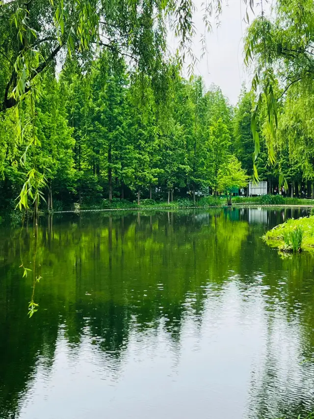 跨年3日舟山私人旅行清單