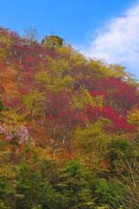 廣東度假遊｜七溪地吃住玩全攻略