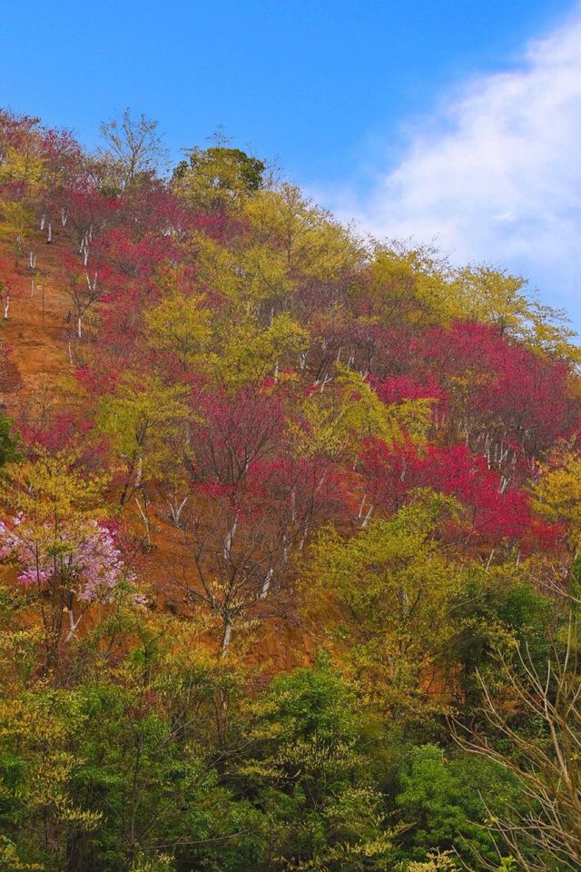 廣東度假遊｜七溪地吃住玩全攻略