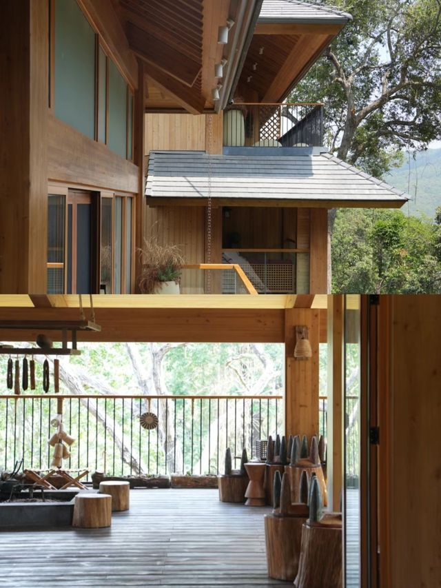 私藏茶山秘境，做一個採茶姑娘
