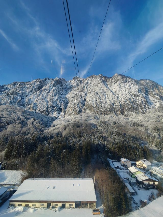 我登上了阿爾卑斯山