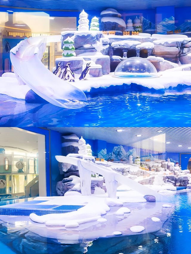 住進海昌企鵝酒店，開啟夢幻親子之旅