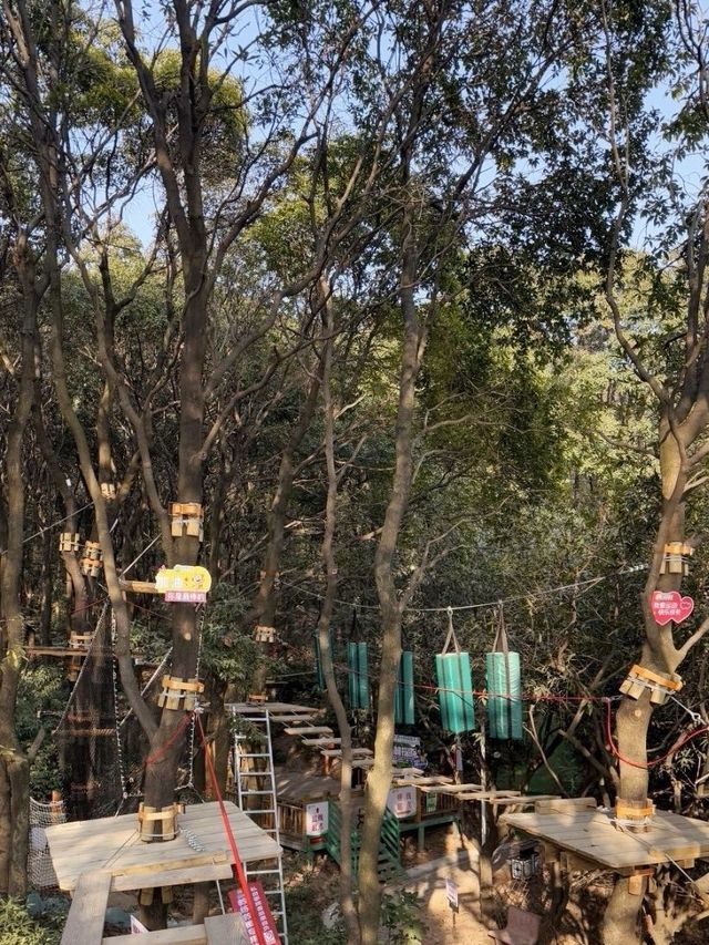 江門！大雁山！飛越叢林太過癮啦！！