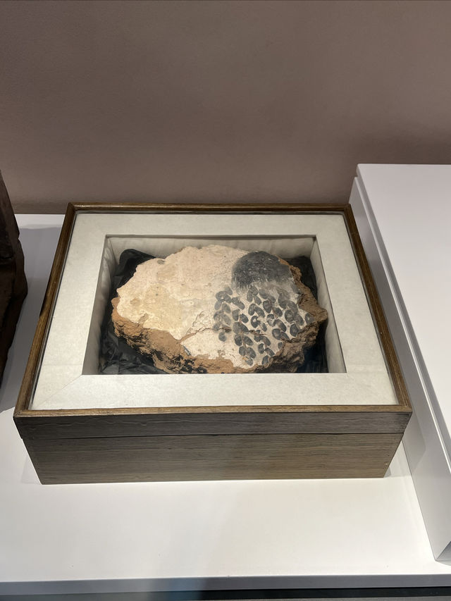 山水俱陽 故名咸陽（三）：咸陽博物院