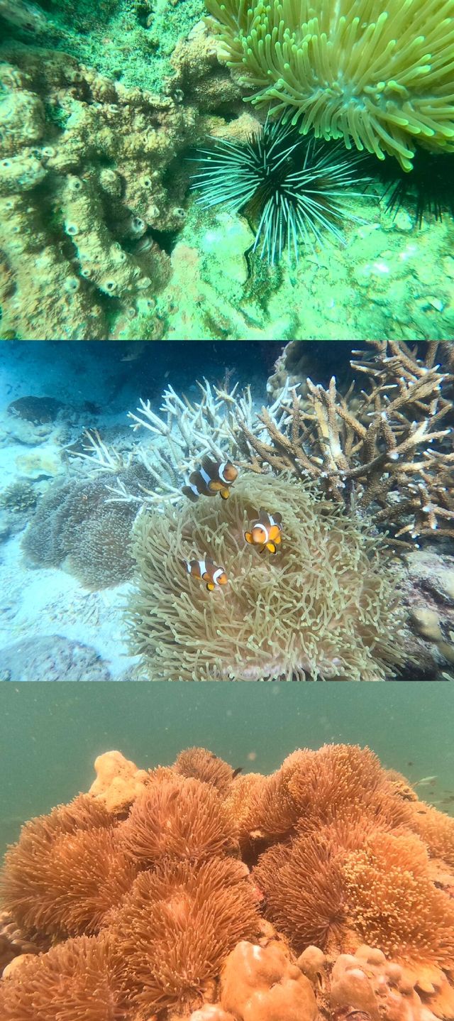 蘭卡威芭雅島深潛打卡攻略