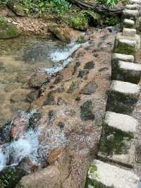 武夷山四天遊 玩轉經典路線必收藏