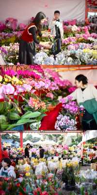 佛山陳村迎春花市｜逛花市過大年