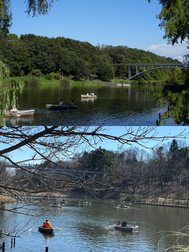 超級詳細的日本船橋市旅遊
