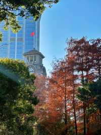 上海人民公園，好天氣裏的絕美出片聖地