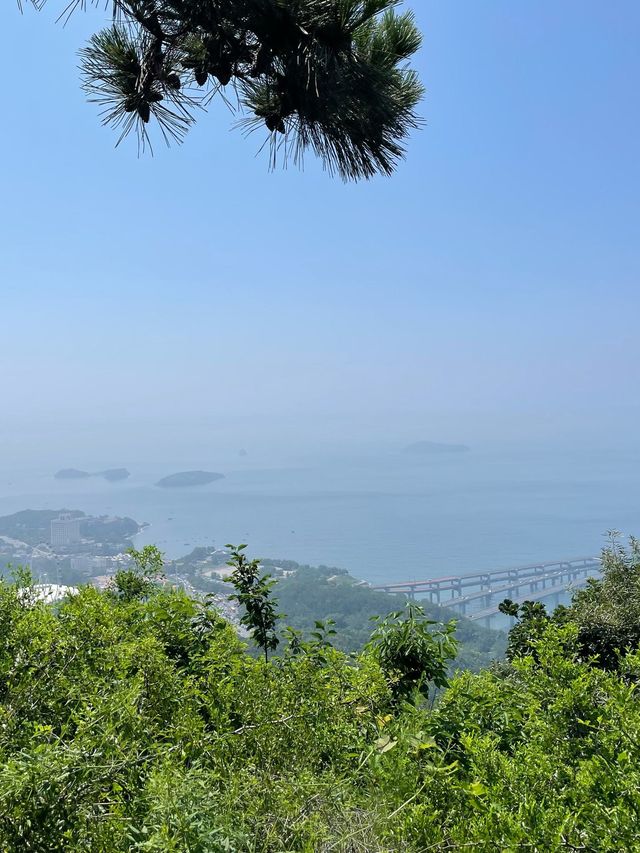 冬天去大連-營口太絕了雪景美哭別錯過