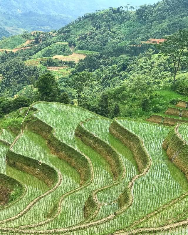 越南沙巴梯田——人類與大自然的完美交織