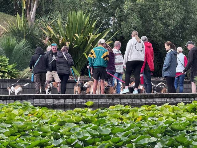 威爾遜植物園