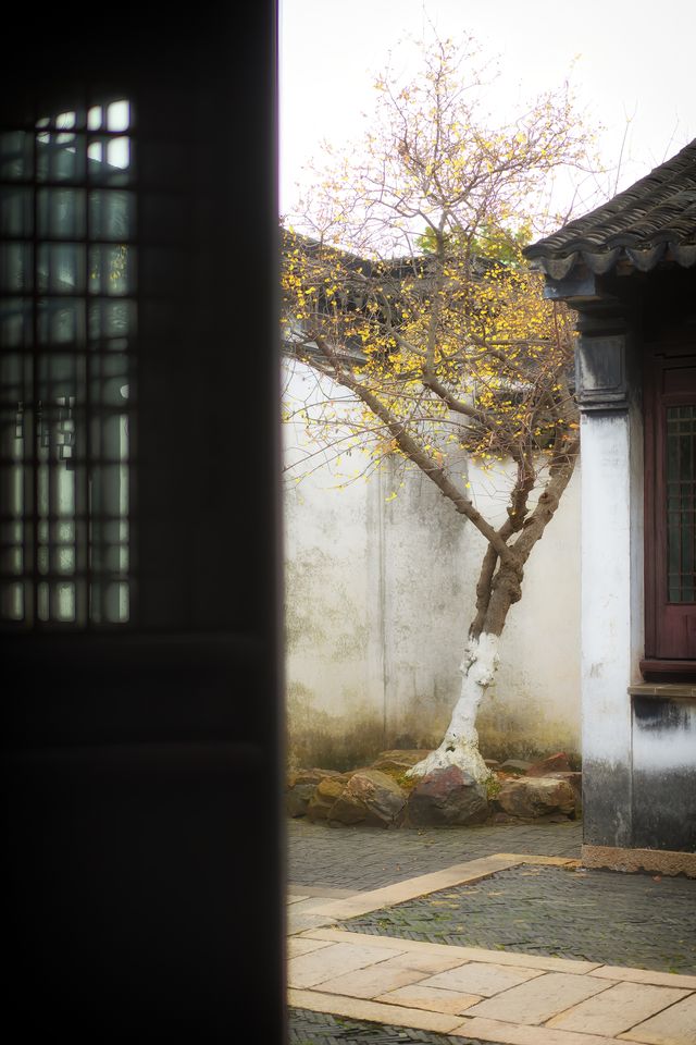 常熟虞山：邂逅春日梅海與中式園林的浪漫