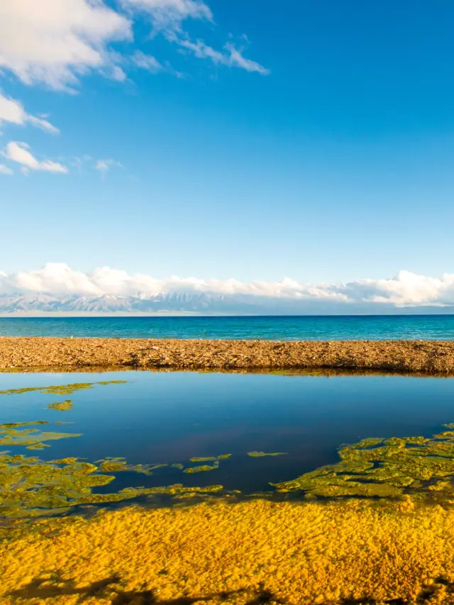 Xinjiang Urumqi - North Xinjiang Skiing Secrets You'll Regret Missing All Year