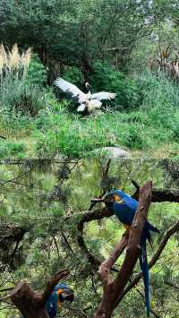 去動物園一定要這樣拍！