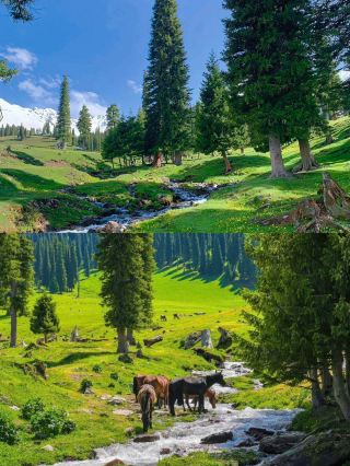 2025 Northern Xinjiang Essence Pure Tour - 10 Days