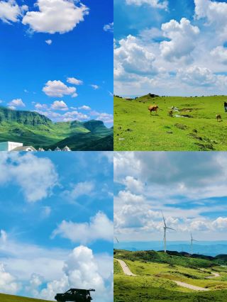 Unlock the mysterious Wumeng Prairie in Guizhou, a romantic encounter above the clouds