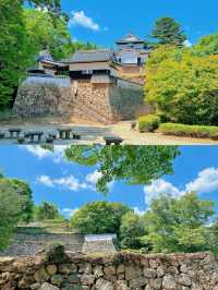 松山寶藏旅遊攻略，一篇就夠！