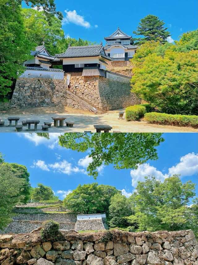 松山寶藏旅遊攻略，一篇就夠！